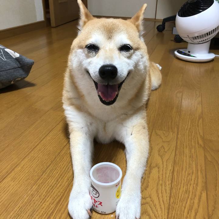 42632be5 4b44 4cf6 b4f8 433b51292047 1593573195808