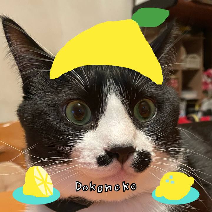 42634f18 cfb8 4eba 83e5 24717f1e9ad8 1741066187804