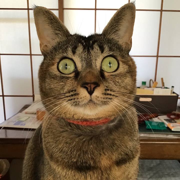 4263688d 727a 436f 92c6 7a1d9984a24b 1637366550206