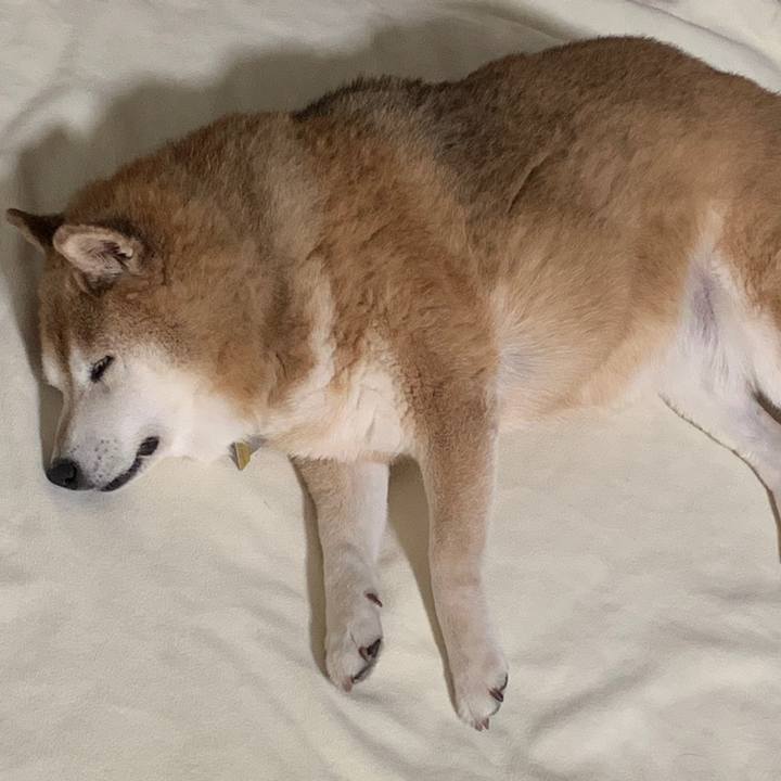 42636976 a7e8 43f6 9cd3 ed3c45a31ece 1564317088381