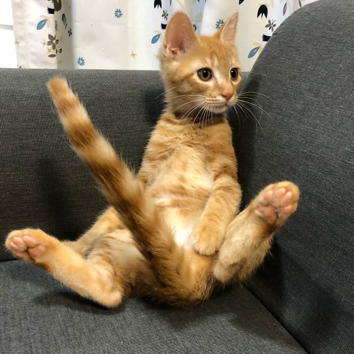 42644d6b f1fa 4888 a28f 58b213607325 1565597744836