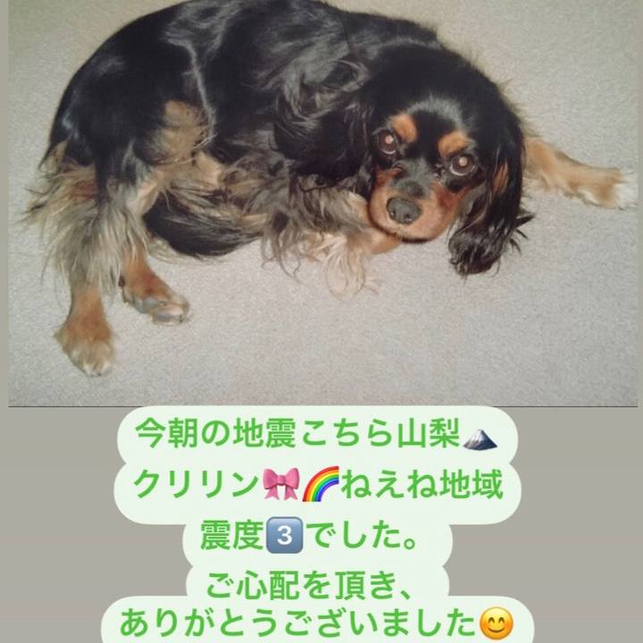 4264aea8 e1c2 4251 85d8 fce09e8e52b7 1638495697923