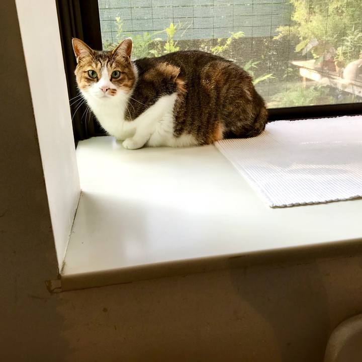 4264c73d cd09 4c73 9d73 10b66f563cf2 1564878021872