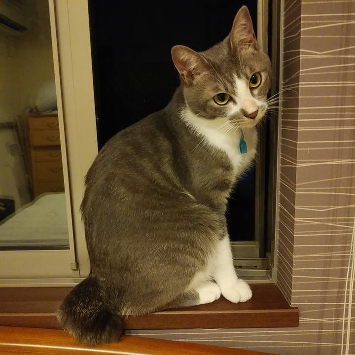 4264e2dc 5b4c 4cef 9359 4658c9a52038 1593268044165