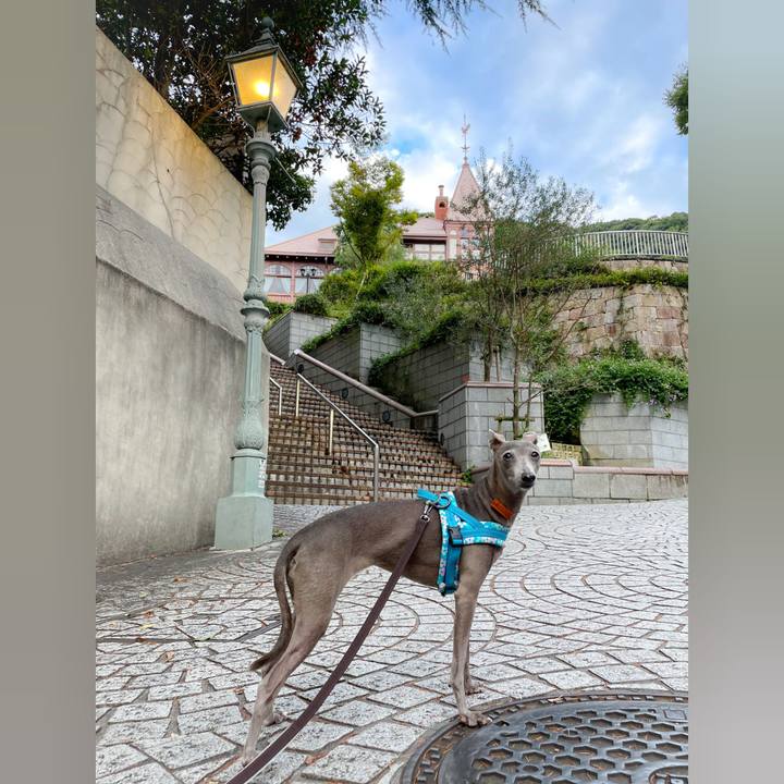 42652bd6 81f1 4fad a226 d05167557fe7 1759311528355