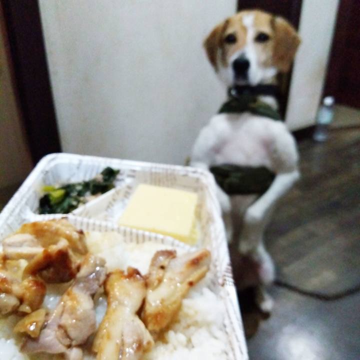 42652f93 089f 4752 813f d1b63646dc78 1688733666069