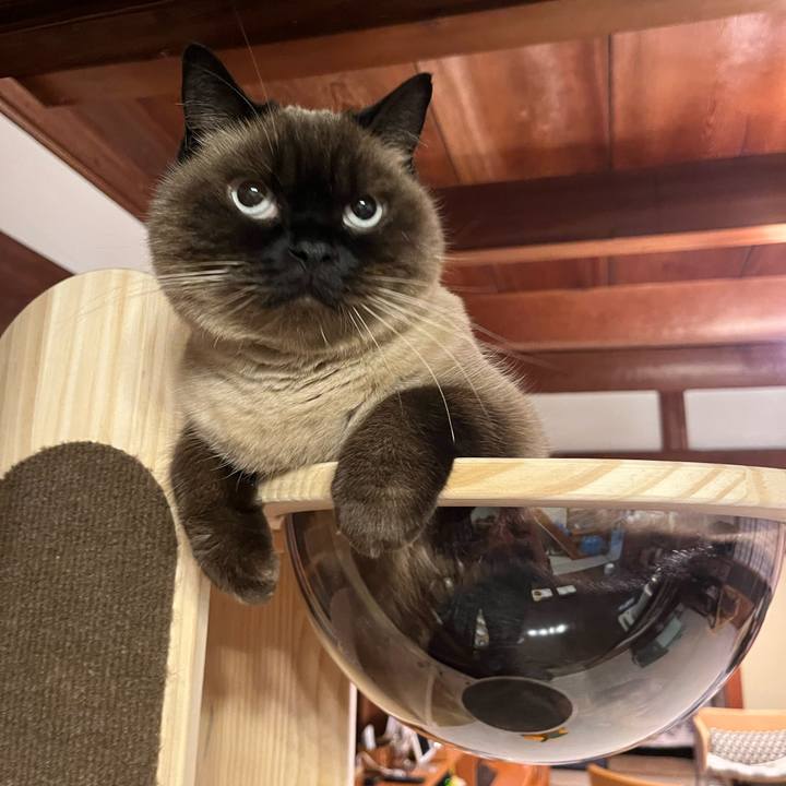 4265538f d553 4b00 9616 2f5d94d9f413 1701221330507