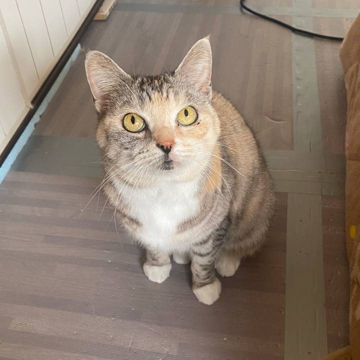 42659270 3bfc 46ef 8f6f f15ac6bb4cad 1646875836713