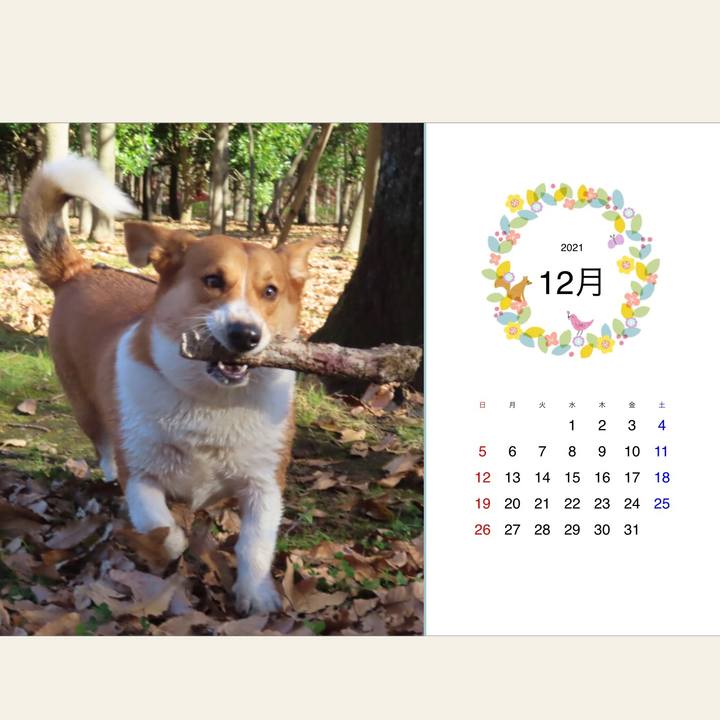 4265ef65 92bd 4d93 b45f 569cc67af619 1638329480671