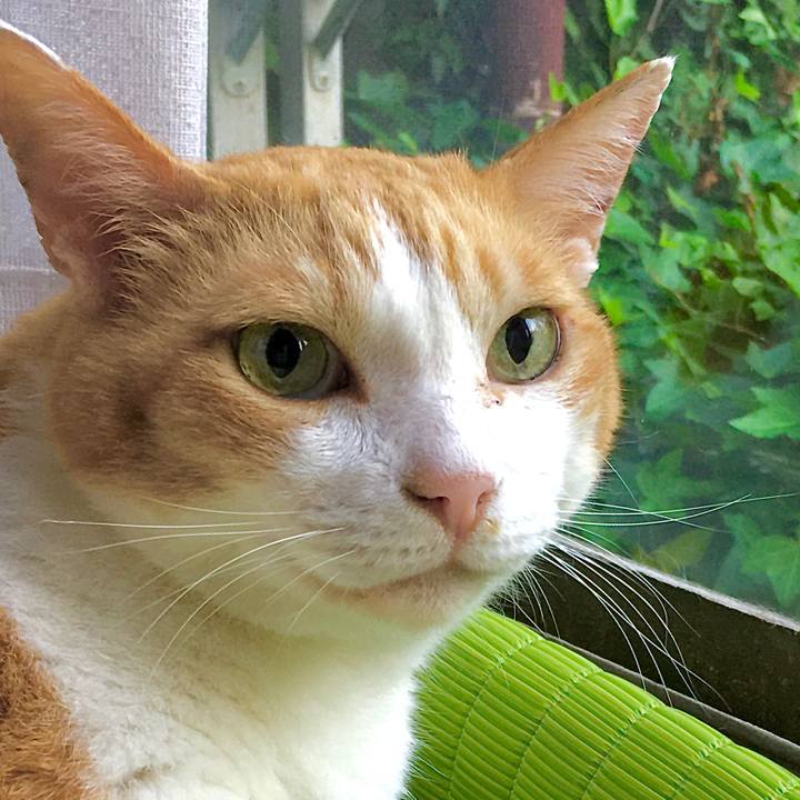 4265f744 54a2 4482 92f4 e6a2e86f5bf8 1597267377845