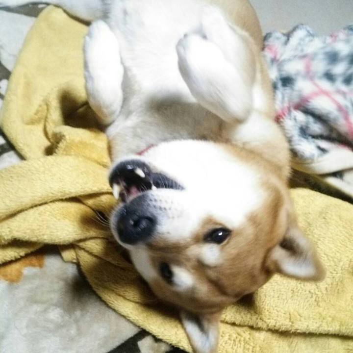 42663f49 147d 4919 8938 af1b7d9410a7 1511599550494