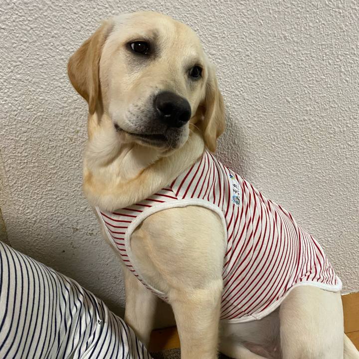 426667c7 cbcd 4e1c b47f 54d7f2723fc5 1620392805075