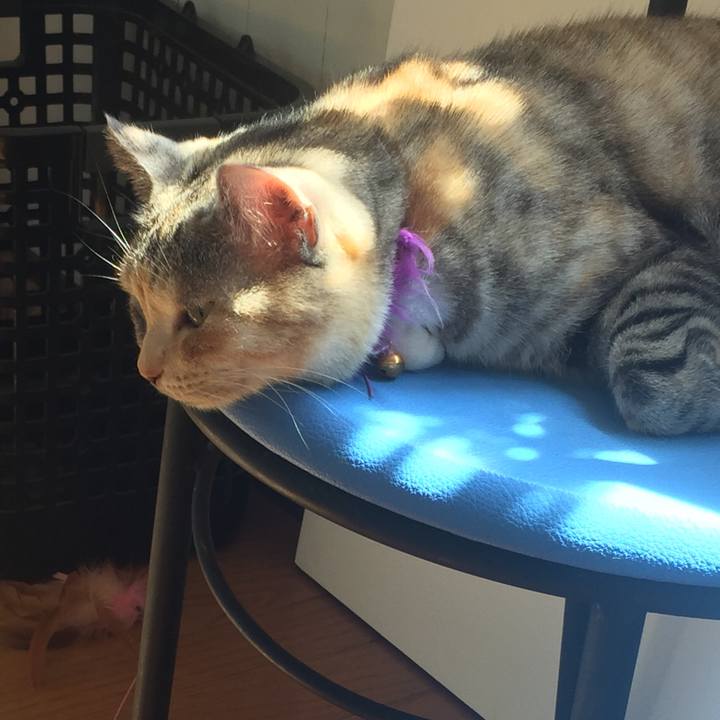 42669de5 cb8c 4425 b950 95274d7d6e57 1554520657960