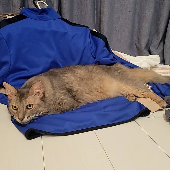 426752f4 438a 482c 911d 8ce979d64584 1693957262620