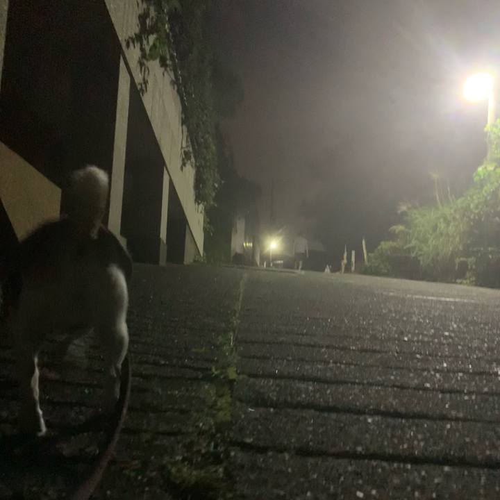 42676acd bb79 4855 8786 85ec492174ca 1633868354257