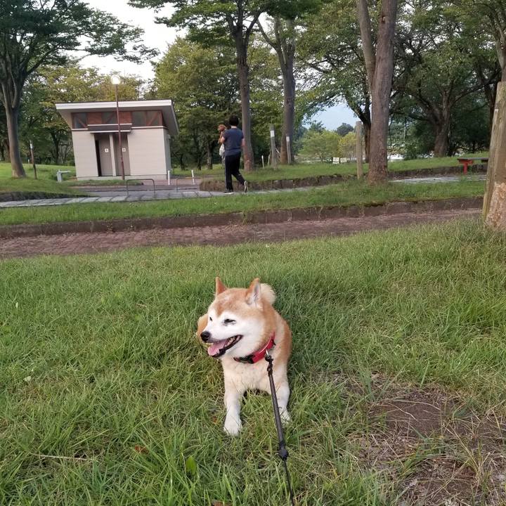 42676f94 07a8 40f0 b47c 1db70966786a 1725871357670