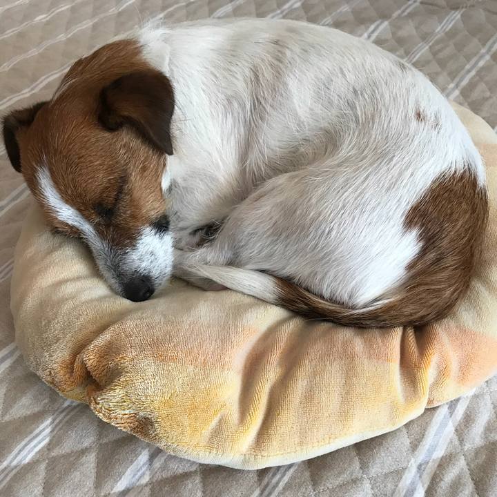 42678a5f 055f 44eb 8ca5 d01dfa0d9c69 1509970640046