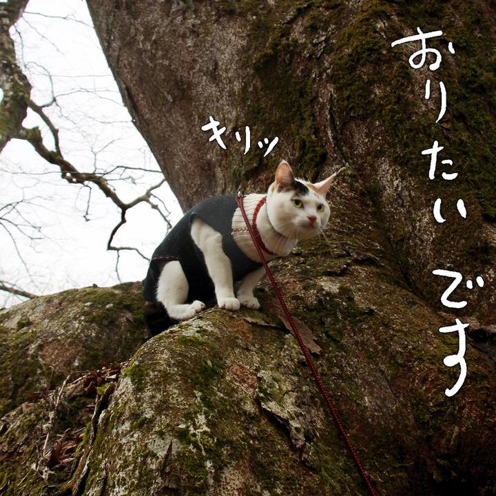 426793d9 0d7b 4fb2 9605 8a5cc2842e17 1580209281863