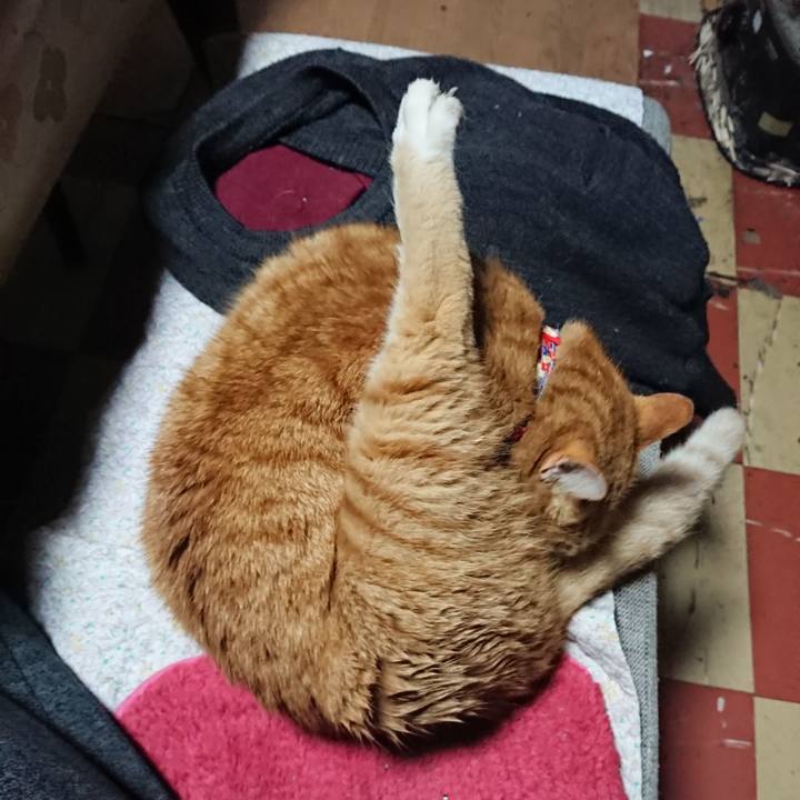 426809ba e58f 4a23 96b1 4a9ef22f417b 1578428642879