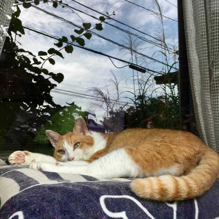 426818a8 b9e4 46b2 90e9 08780750b540 1600933024254