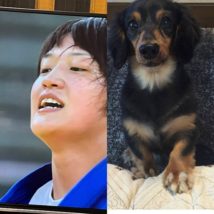 42681c09 c1cc 4285 ba19 58ea8199a025 1627469383572