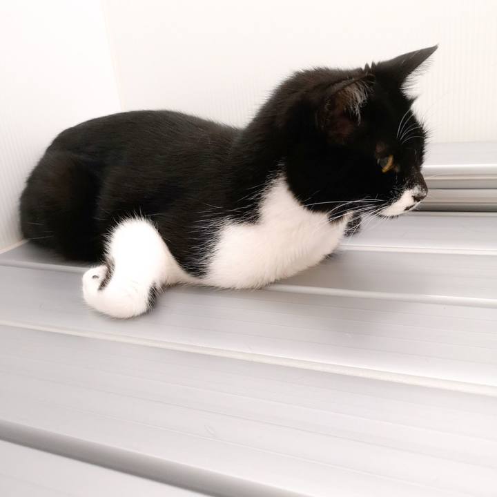 42682737 2b9c 437c b775 06f494e50aca 1559930367592