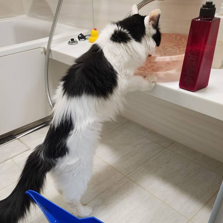 42683aba 690e 4952 968d 505c3e0283c7 1722894469763