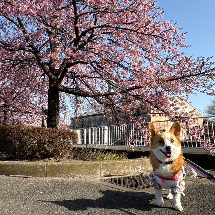 42684a5d 3469 4263 85ef 99738392cacb 1772365095651