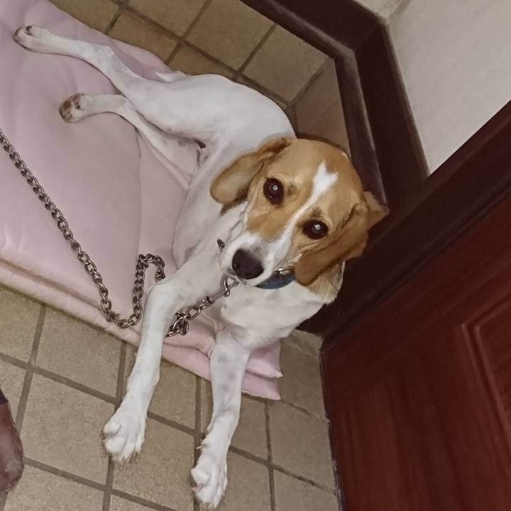 426864a3 2a0c 4def 8b67 731c0e47e41e 1567083529055