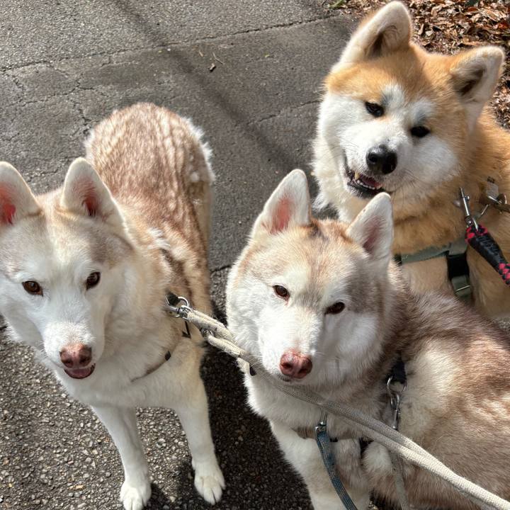 42686c88 be0a 493a a9d2 af10a7b6dcbb 1743317266265