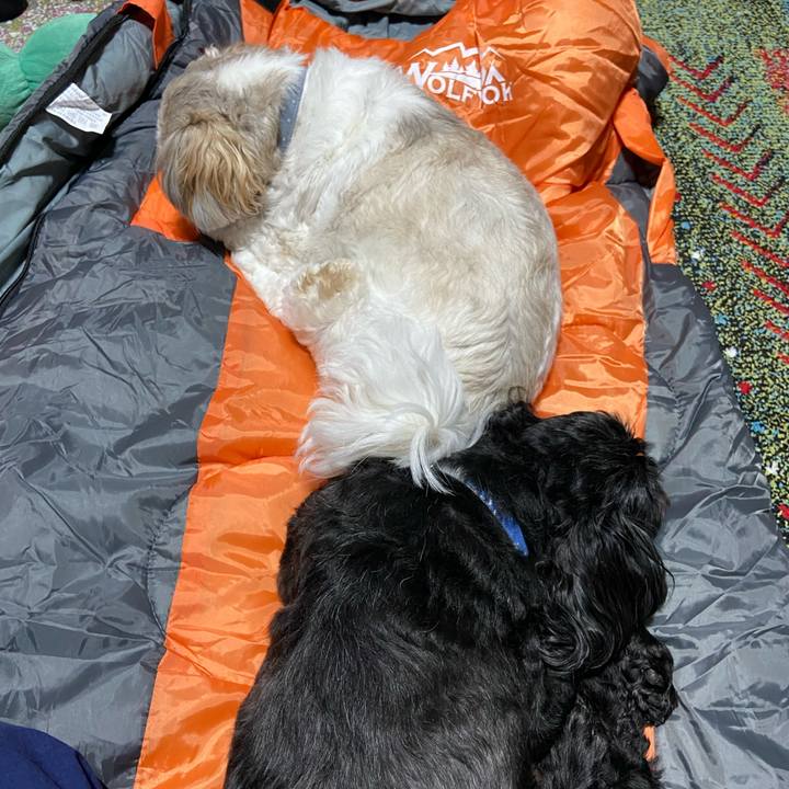 4268941e e400 4e92 b196 bcd60c6d8ec0 1688826338298