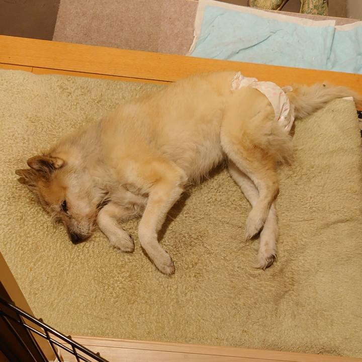 4268bc72 290d 403d 9623 4e778c319afa 1637751792749