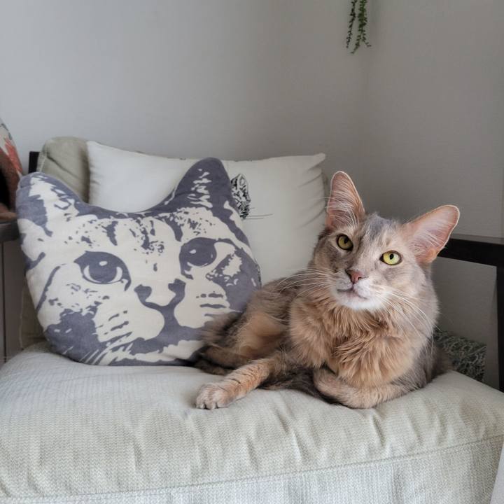 4268d6cd d24b 45ea a47d e32f397ccd55 1685152124284