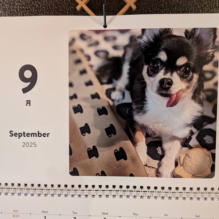 4268f7cc 4c18 4310 9575 43ebc9ba151b 1756727352700