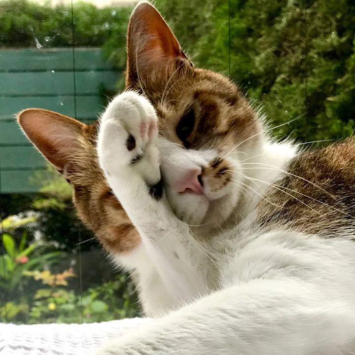 42694cd5 ca58 4269 ba01 7edadc157aec 1529741812351