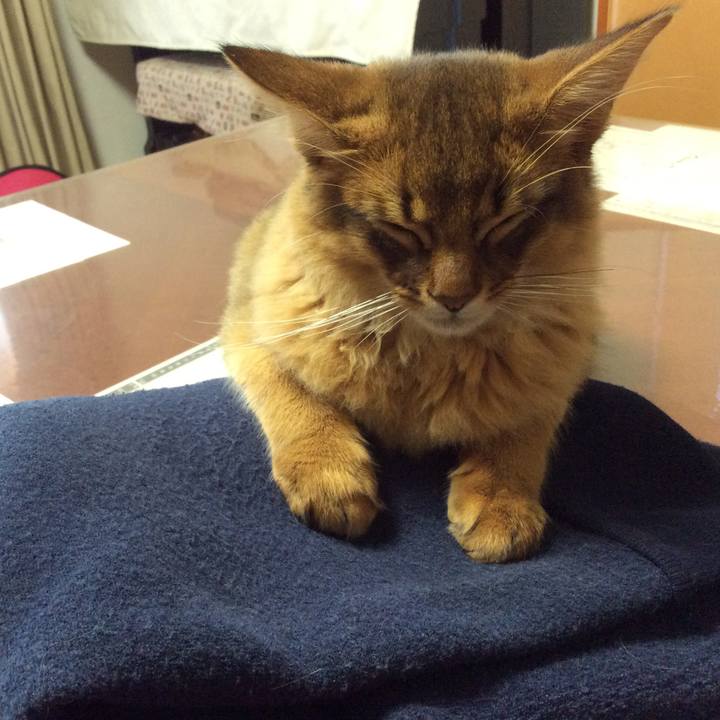 42696151 bebb 4e2d b925 abcdb4f7f2ef 1575842876653