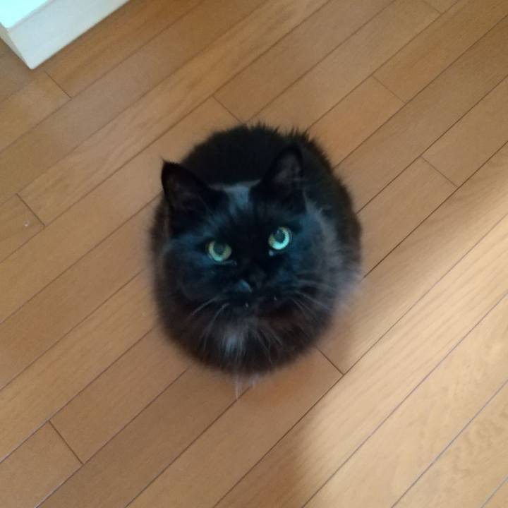 42696263 add0 467f 89ce ea9556e20754 1642807713419