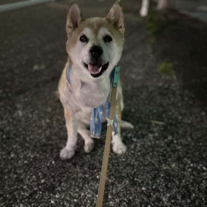 42696d90 23aa 4319 bb45 b1a9c7a48981 1755339890059