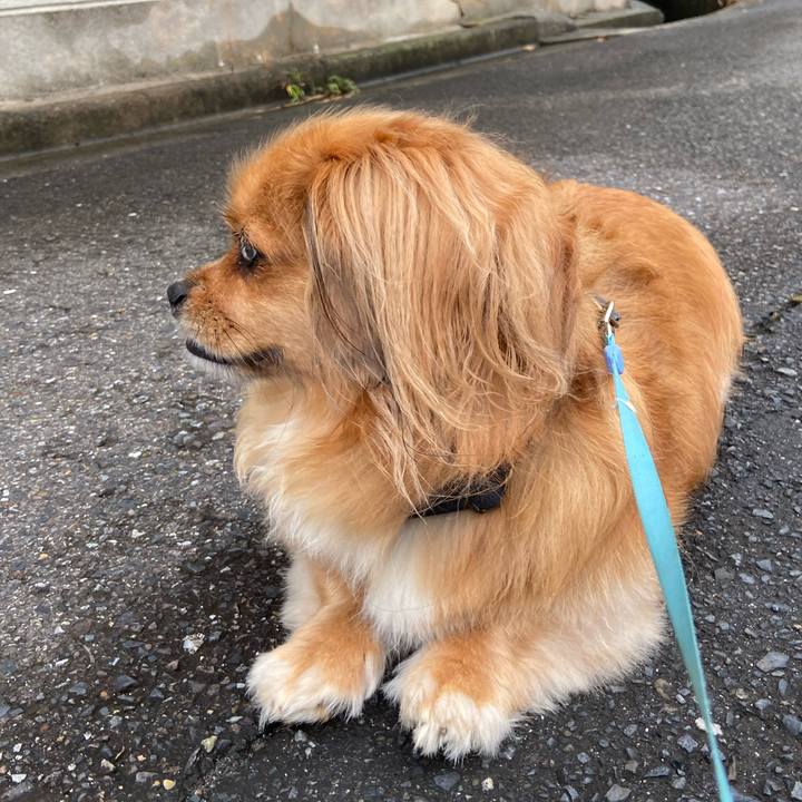 4269b1bd 57aa 4009 a1aa ff4deff6368d 1595369980607