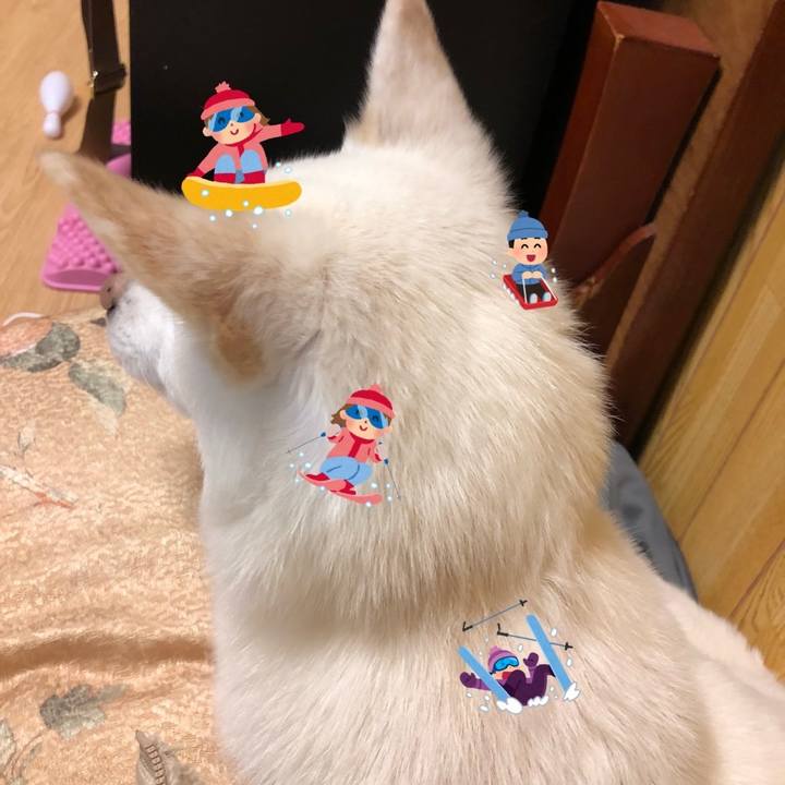 4269b3eb d229 4f75 97a3 8d621fae0b0d 1674559275698