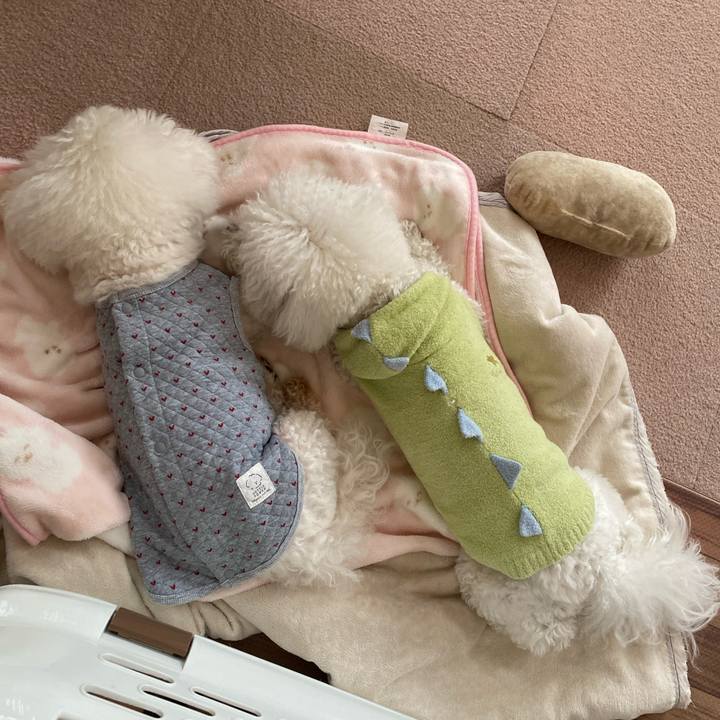 4269b465 298b 4530 8fe2 4b0d40c7a285 1770775841364