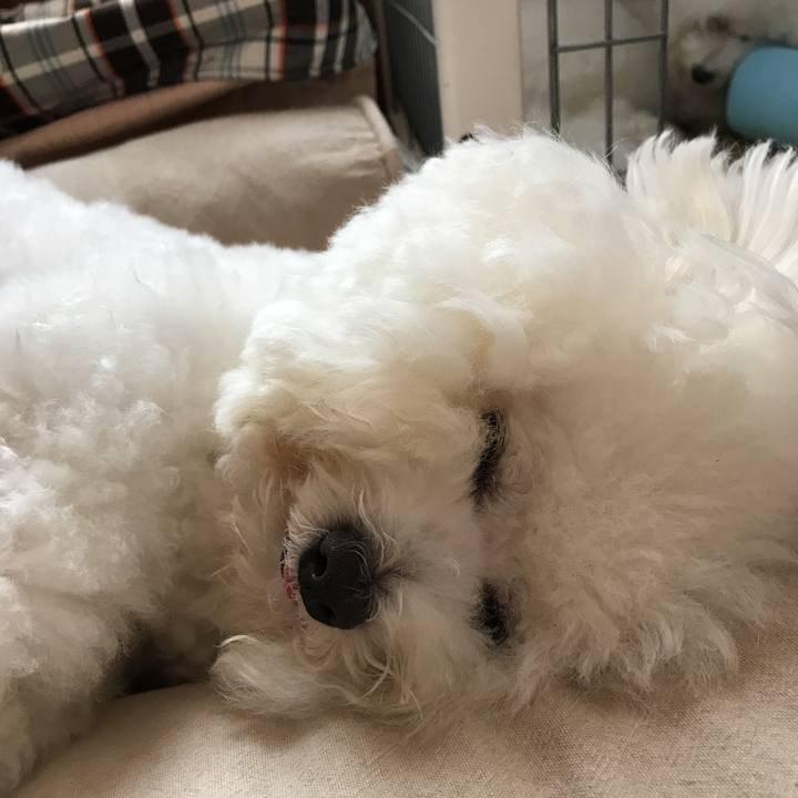 4269b7bc 42a4 4961 ba4a ee915fae0f6d 1529295443055