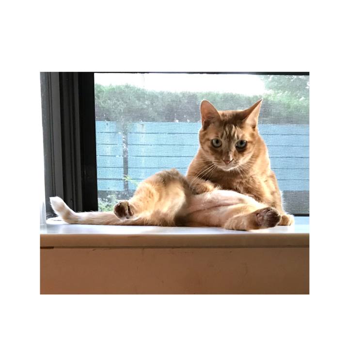 4269bf83 09ce 4807 9a9c b08850155c01 1646798884871