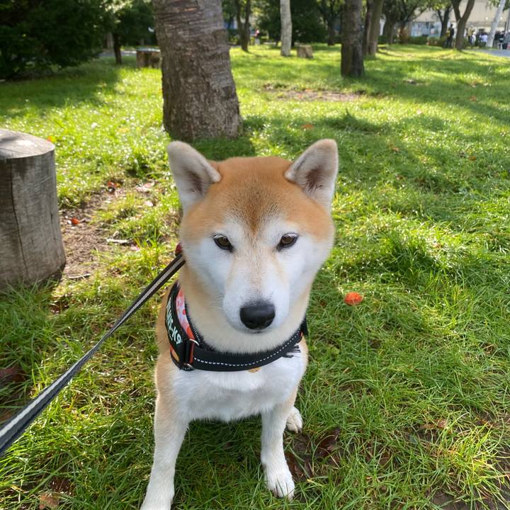 4269c07b d242 48fe 8955 fa939fbc1b60 1601858996921