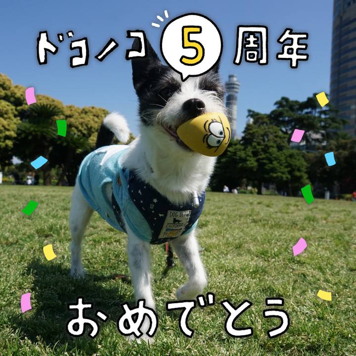 4269cede b624 49e8 96fe 1612b4d6cbd2 1622856314080