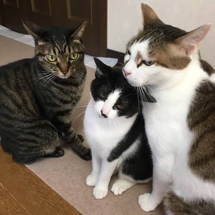 426a2296 8166 4f5d b7c3 5ff6c600c722 1580902868671