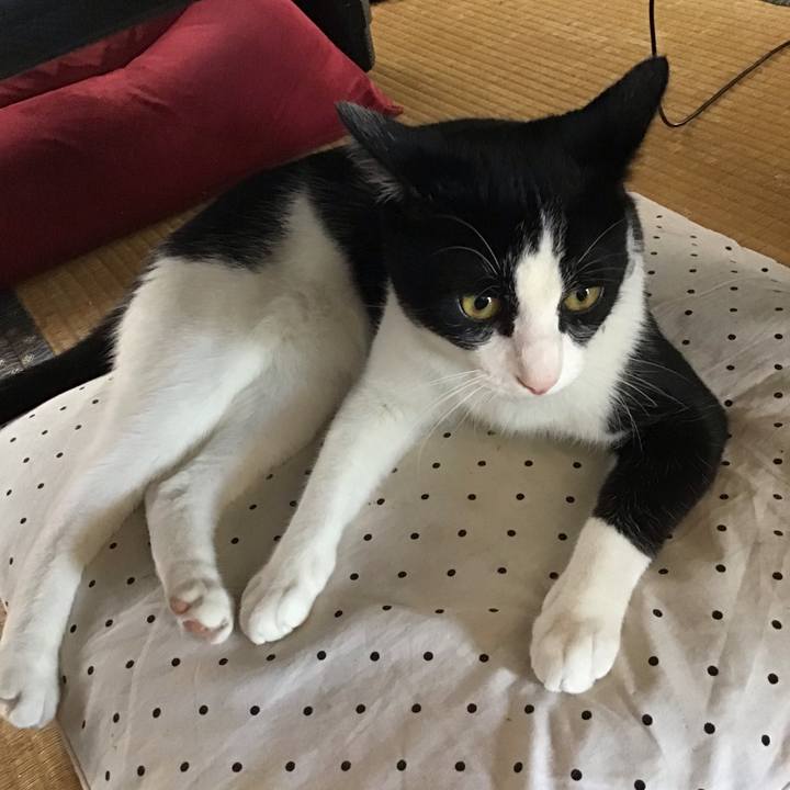 426a2fbf 7a87 49a6 94a0 d3d17292987e 1661572831652