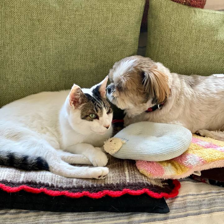 426a5401 7ff8 467c 839b 56e09166bdee 1665893112059