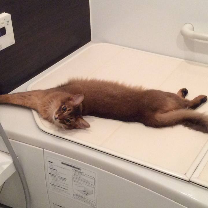 426a6942 6353 4d3f bffd 9f2e01b38786 1590098828714