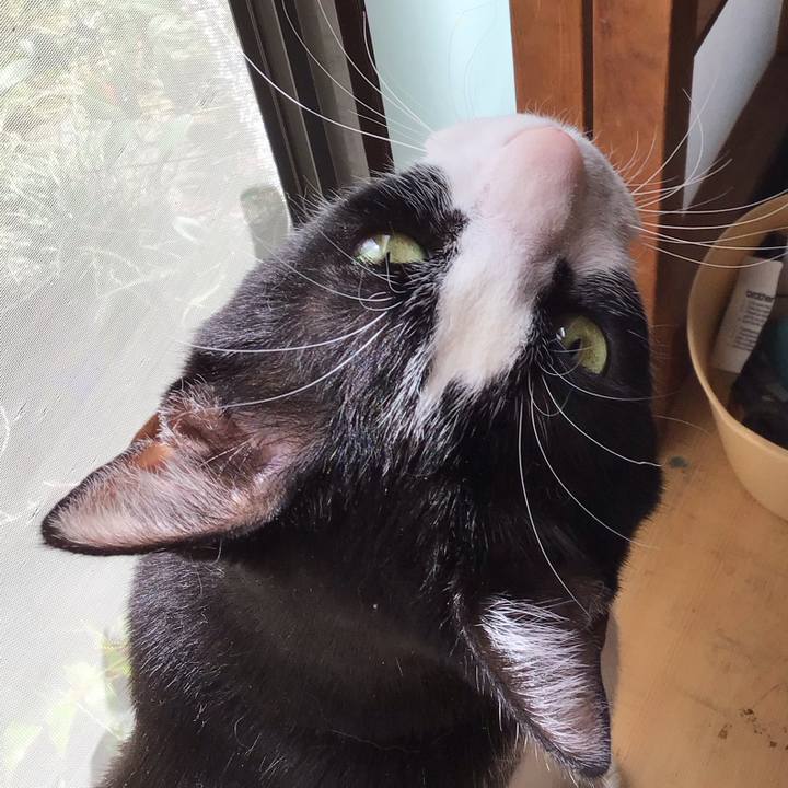 426a6f64 360d 47f7 b521 c64d970545af 1712451606493